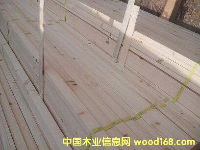 ���ɺ�ɗl��Ԕ��(x��)��B