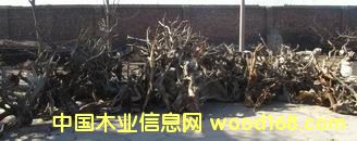 �°�ë�����l(f��)��Ԕ����B