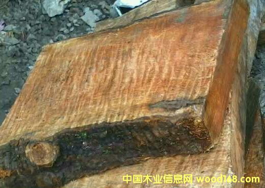 ���۾�Ʒ��ߴ���^����