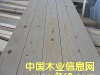 ��ɼ/���/�۰�