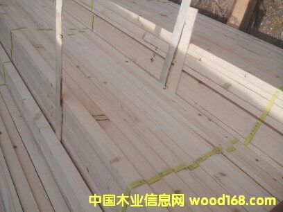 ���ɺ�ɗl��Ԕ����B