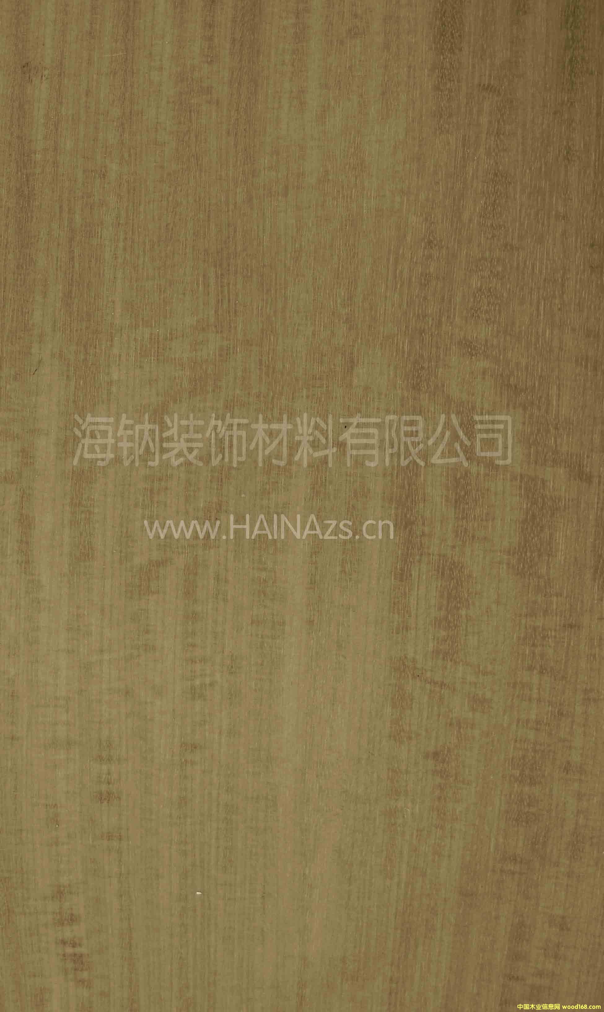 淺灰影的詳細(xì)介紹