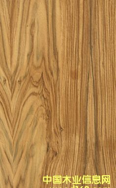 �ϓ���֦��Ԕ��(x��)��B