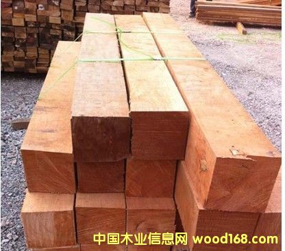 ������ľ��ĵ�Ԕ��(x��)��B