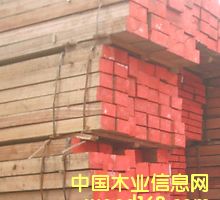 �L�ڹ���(y��ng)����ľ