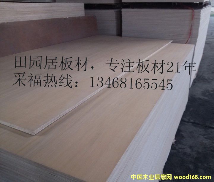 ��ľ���b�� ľ�|(zh��)�бP(p��n)�� ���ڌ�(zhu��n)��