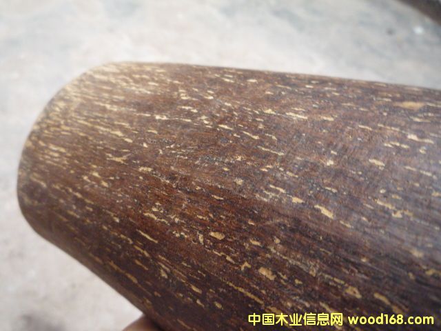 奇楠沉香的詳細(xì)介紹