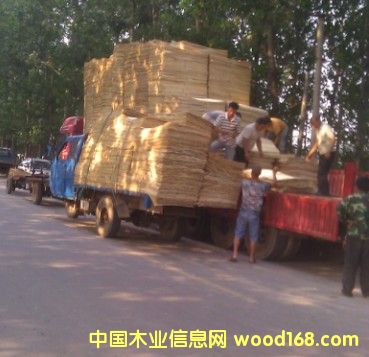 ��Ƥ�b܇(ch��)��Ԕ��(x��)��B