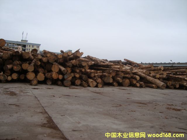 �uľ��Ԕ��(x��)��B