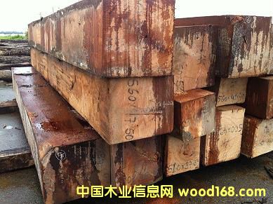 ��������ľ��Ԕ����B