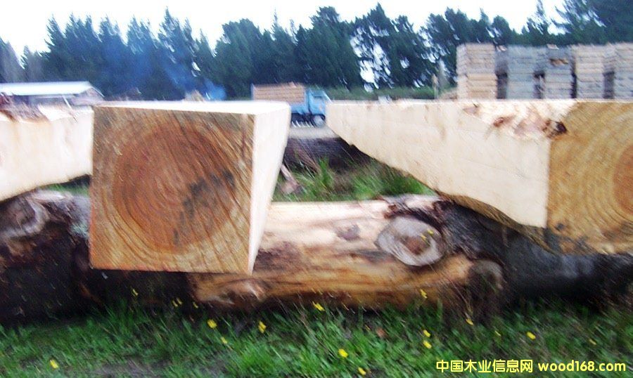 ��������ľ��Ԕ����B