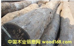 �M(j��n)�� ���~�t̴��Ԕ��(x��)��B