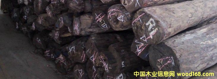 ���~��̴ ԭľ��Ԕ��(x��)��B