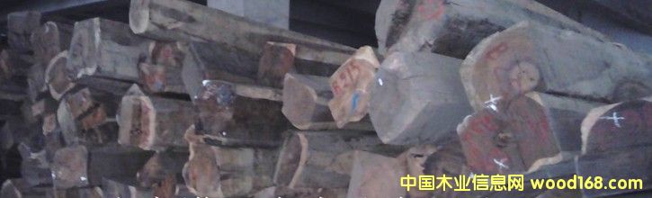 ����ɣ�R�_(d��)��˹�Ӽt��֦����