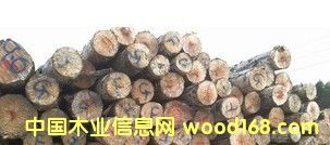 ���l(f��)�N�ۃ�(y��u)�|(zh��)A��(j��)��Ʒ�|(zh��)��ԭľ