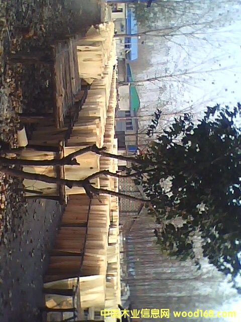 ��ľľƤ�A�ĵ�Ԕ��(x��)��B