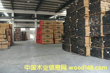 紅橡的詳細(xì)介紹