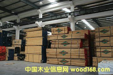 硬楓的詳細(xì)介紹