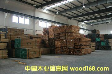 軟楓的詳細(xì)介紹