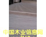 �W�����z�ϰ�