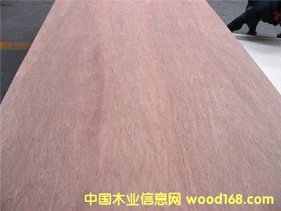 ����˹�t�sľ��Ԕ����B