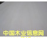 ����˹Ư�ח�ľ��Ԕ����B