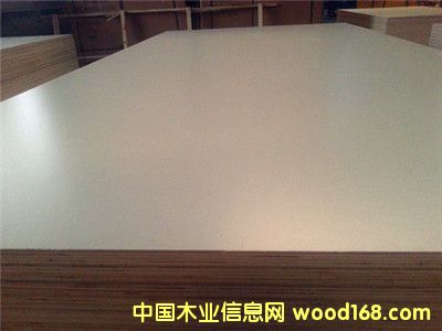 ����˹�����