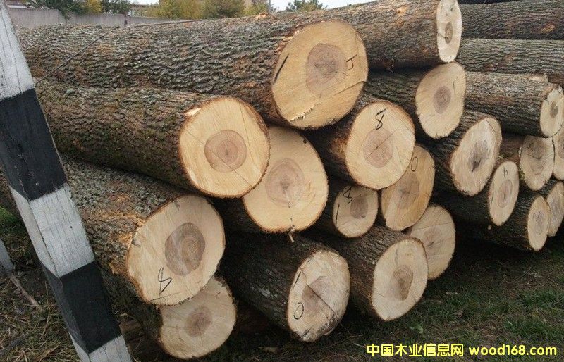 ��ľԭľ��Ԕ��(x��)��B