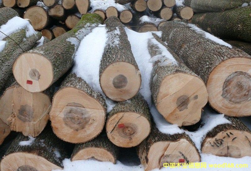 ��ľԭľ��Ԕ��(x��)��B