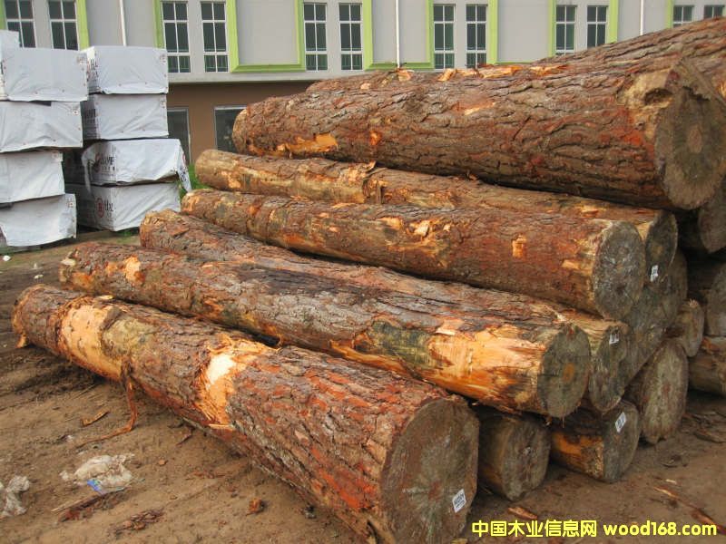 �Ϸ���ԭľ��Ԕ��(x��)��B