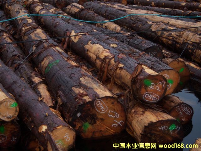 黃雪松的詳細介紹