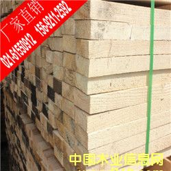 鐵杉的詳細(xì)介紹