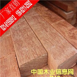 菠蘿格的詳細(xì)介紹