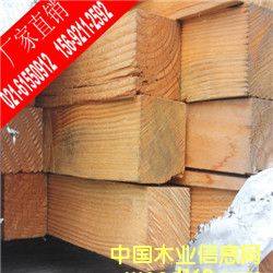 花旗松的詳細(xì)介紹