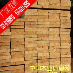 輻射松的詳細(xì)介紹