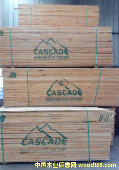 赤楊木的詳細(xì)介紹