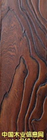 ɭ�����ذ��Ԕ��(x��)��B