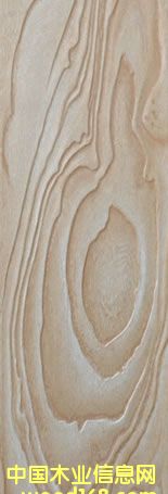 ɭ�����ذ��Ԕ��(x��)��B