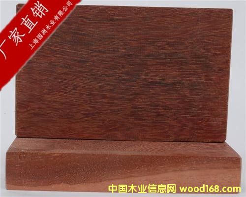 紅鐵木的詳細(xì)介紹