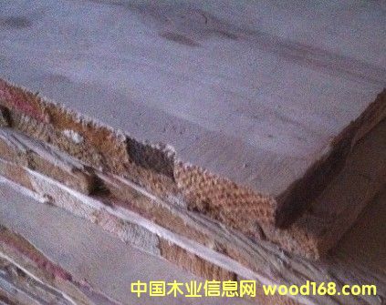 ��(x��)ľ�����ĵ�Ԕ��(x��)��B