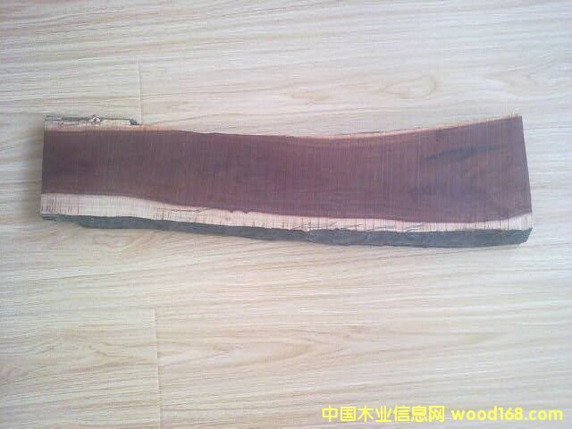 ��������ľ��Ԕ��(x��)��B