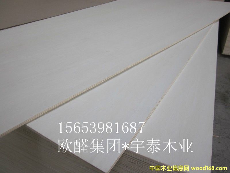 12��Ư�ח�ľ���Ӱ��Ԕ����B