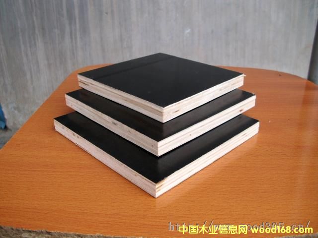 黑膜的詳細(xì)介紹