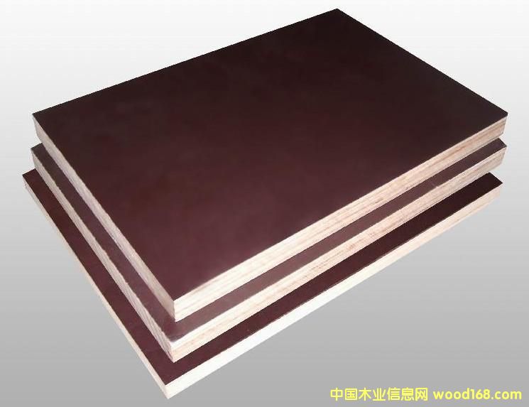 棕膜的詳細(xì)介紹