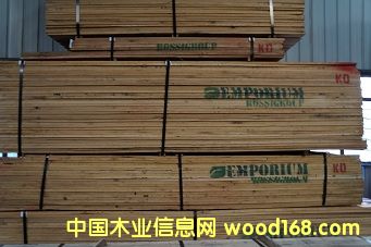 ���������Ԕ��(x��)��B