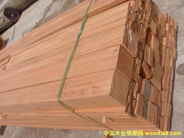 ����˹���T����˹