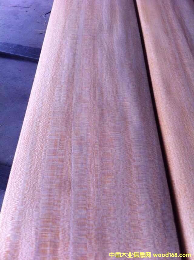 �S��˹��Ԕ��(x��)��B