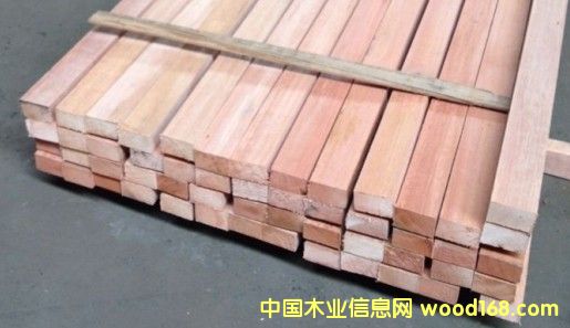 柳桉的詳細介紹