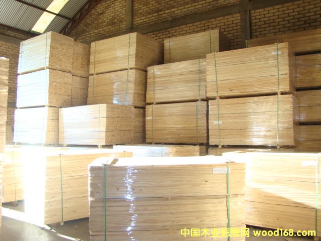 �����S��ָ�Ӱ��