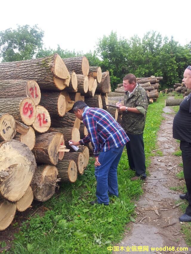 ��ľ��Ԕ����B